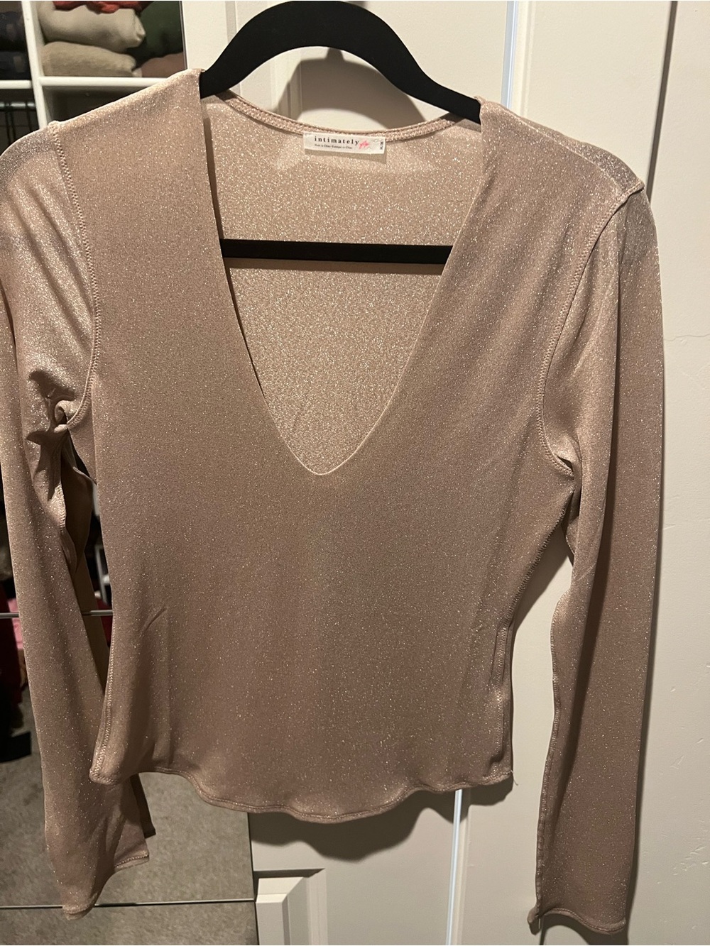 Free People Shimmery Nude V-Neck Long Sleeve Top